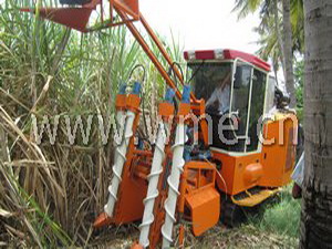 Sugarcane Harvester 4GL-1 in harvesting
