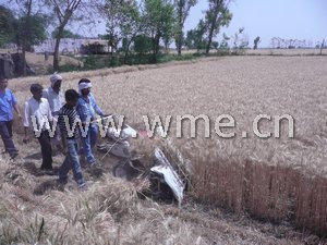 θεριστή για το δέσιμο φύλλων 4K-50 χειριστής no.2