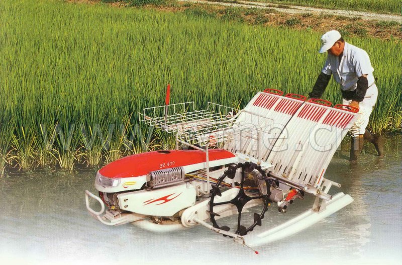 Rice Transplanter 2Z-430
