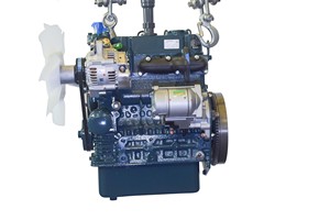 D902-EF08_CN4 - Kubota D902-EF08_CN4 - China Kubota engine